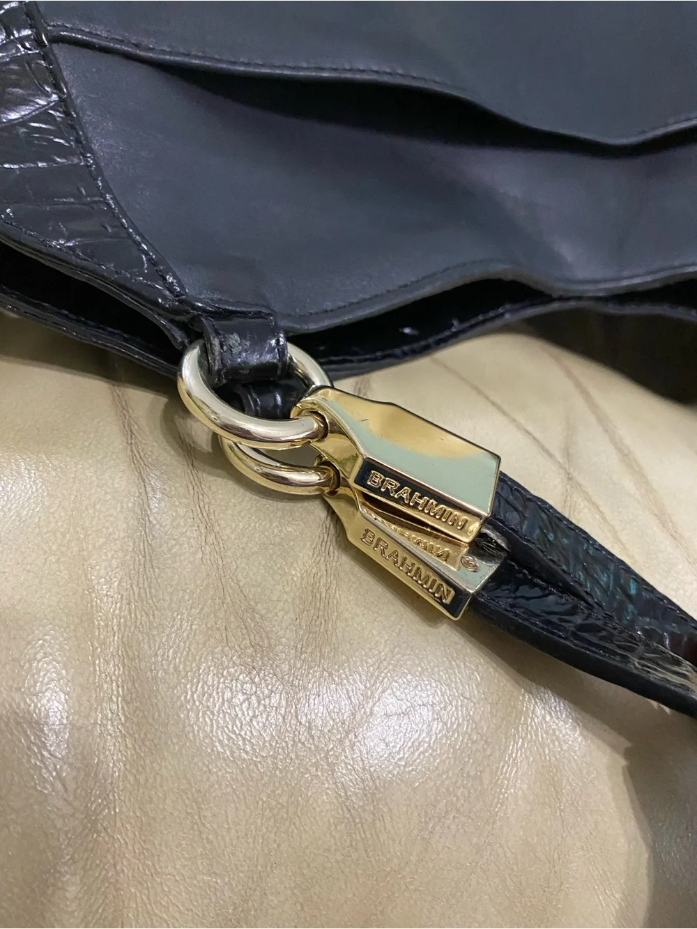Brahmin authentic retired
